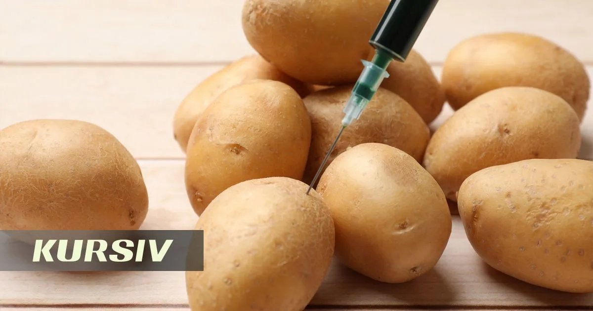 Французское исследование связало популярные консерванты с гипертонией
