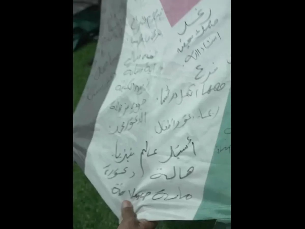 Mountaineers fly Gaza children's kite to Everest summit