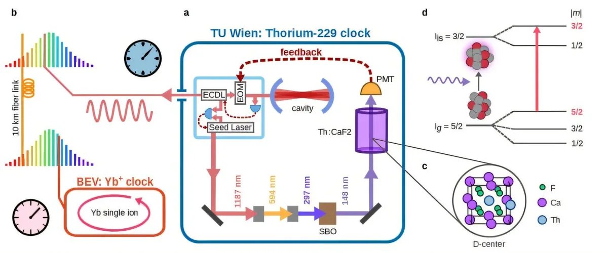 Nuclear clocks tick for first time, may surpass atomic precision