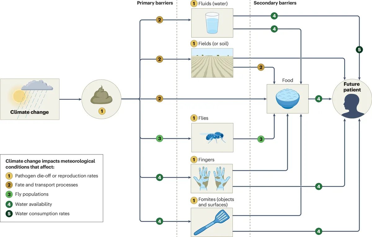 Climate change reshapes waterborne disease risks, review finds
