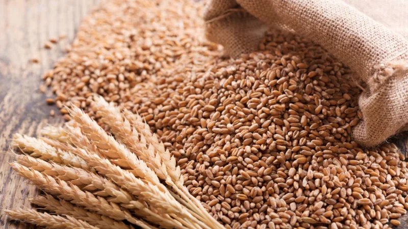 Kazakhstan bans wheat imports for six months