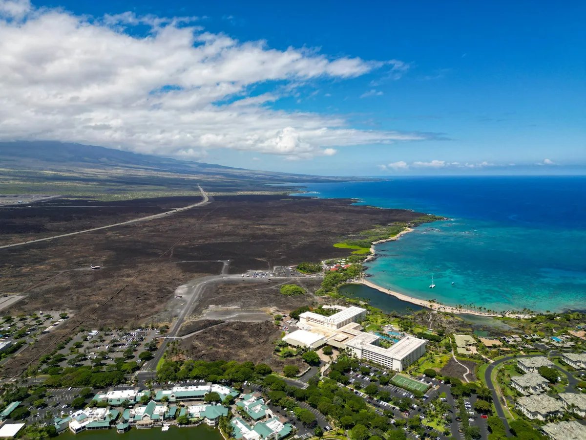 Human contaminants weaken coral resilience, study finds
