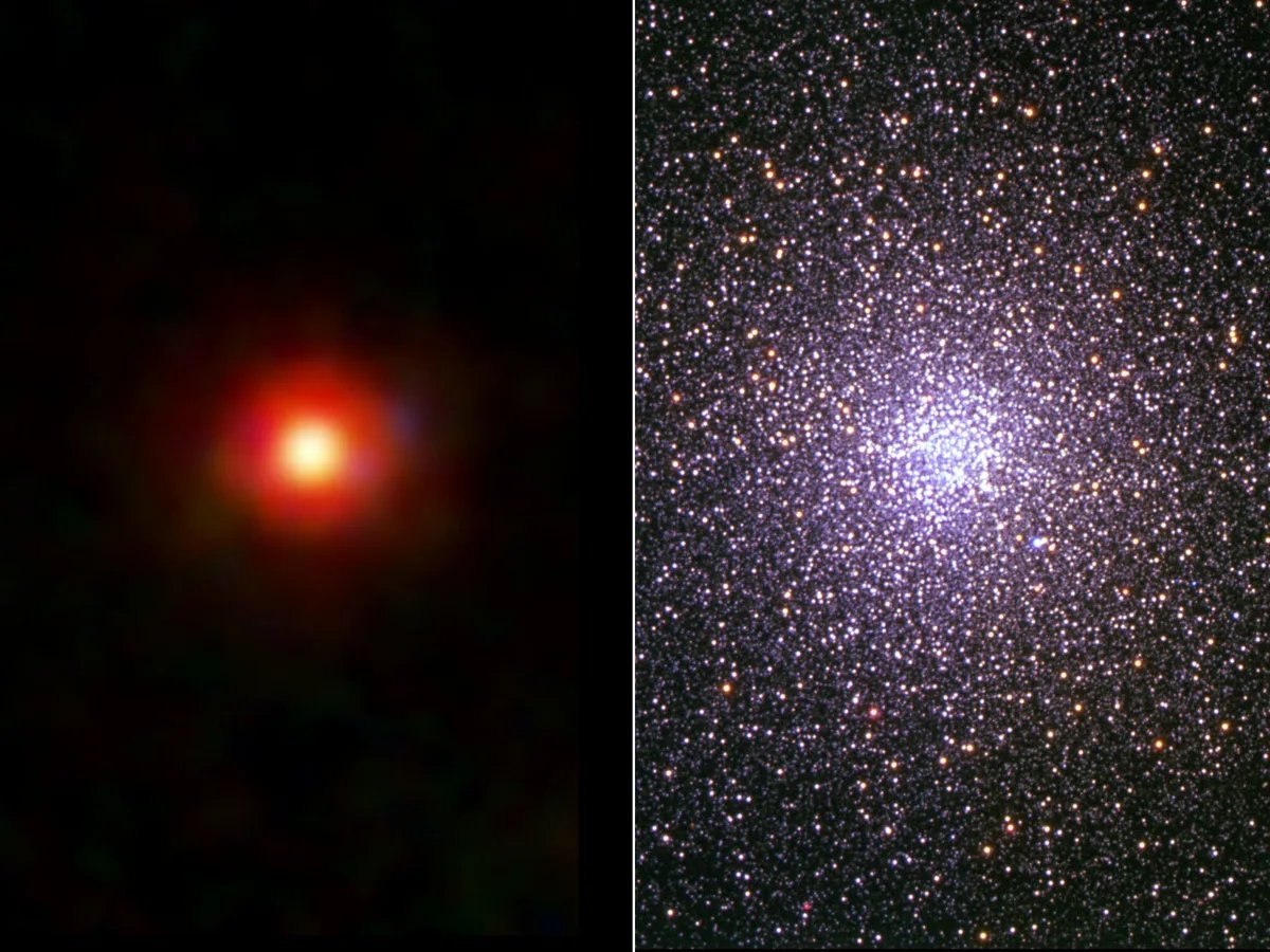 Study links Little Red Dots to globular cluster origins