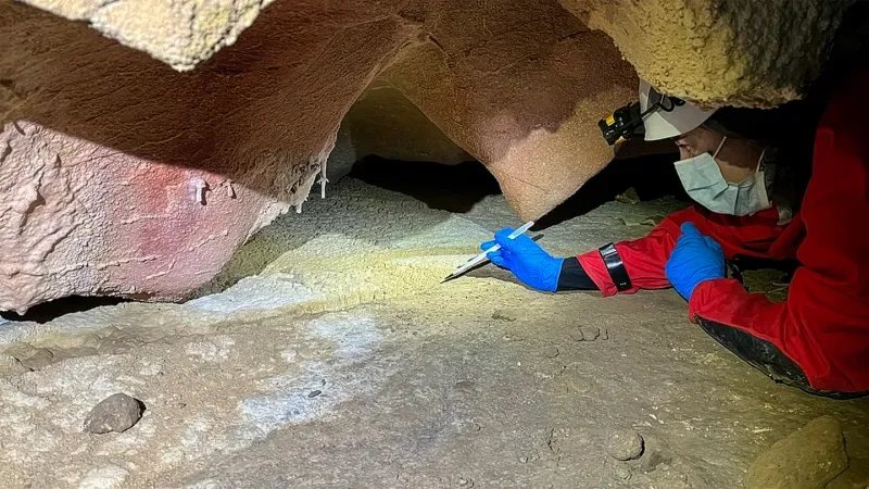 Ancient human DNA recovered from cave walls in Spain, Portugal