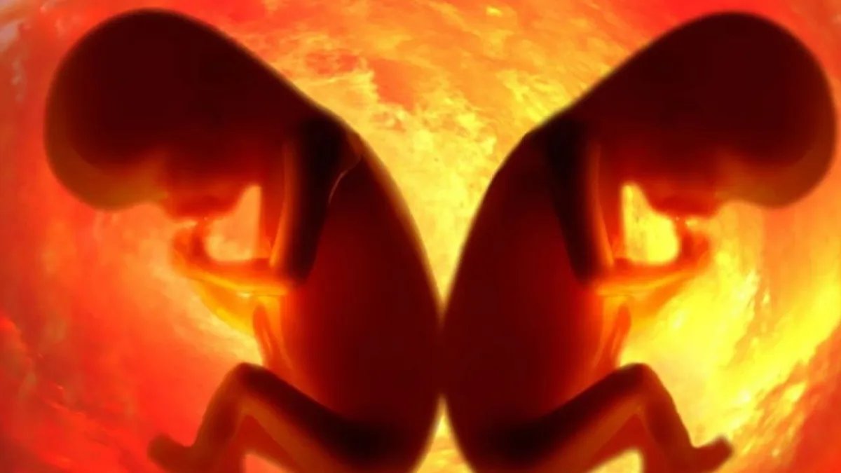 Gene-edited embryos advance as ethical debate intensifies