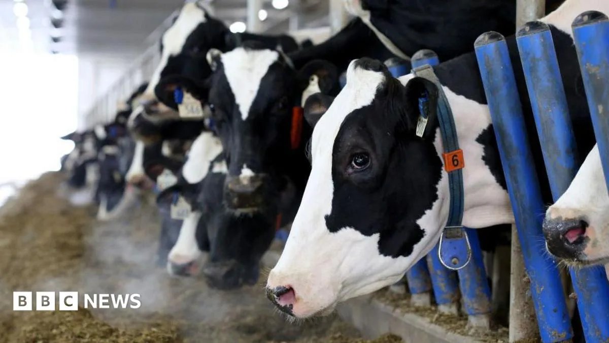 Canada's dairy supply management faces Trump tariff threat