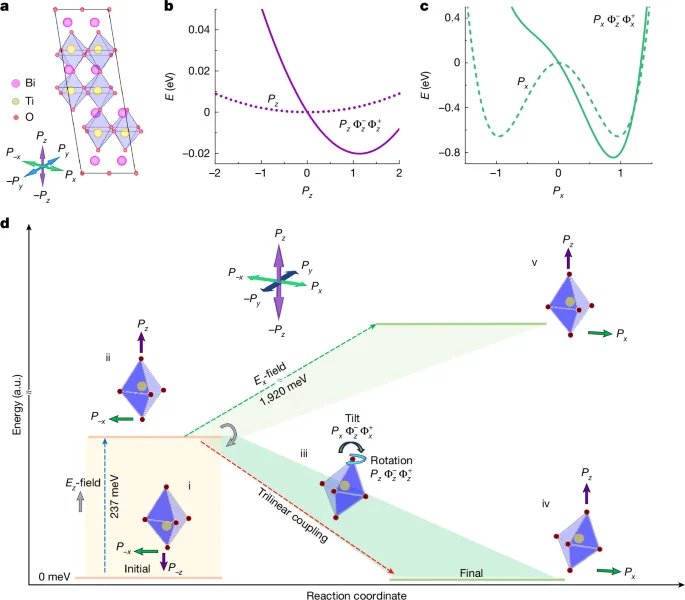 Nature Study Reveals Perpendicular Polarization Switching in Layered Ferroelectrics