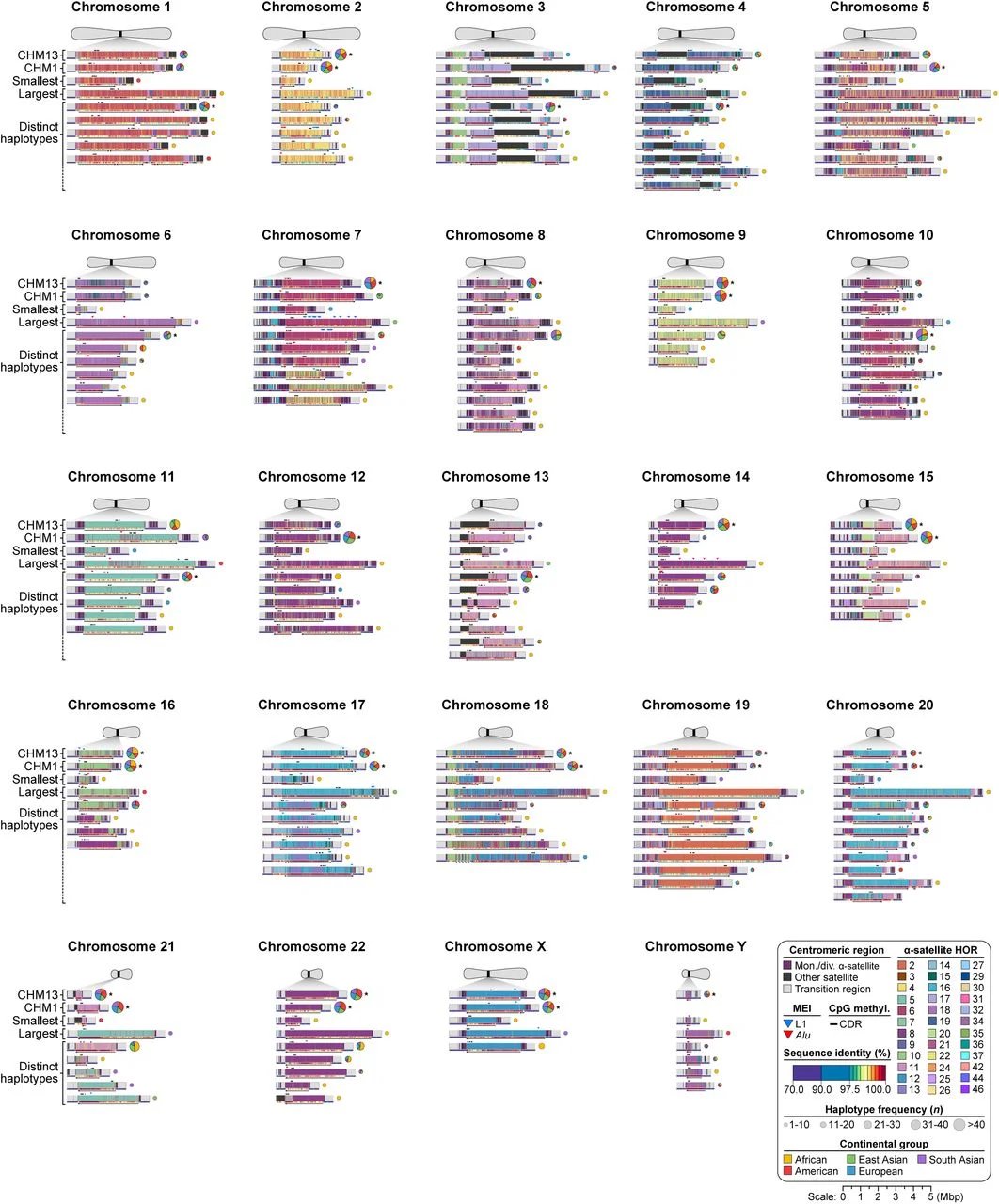 International team maps 2,110 centromeres, finds 6% have dual kinetochores