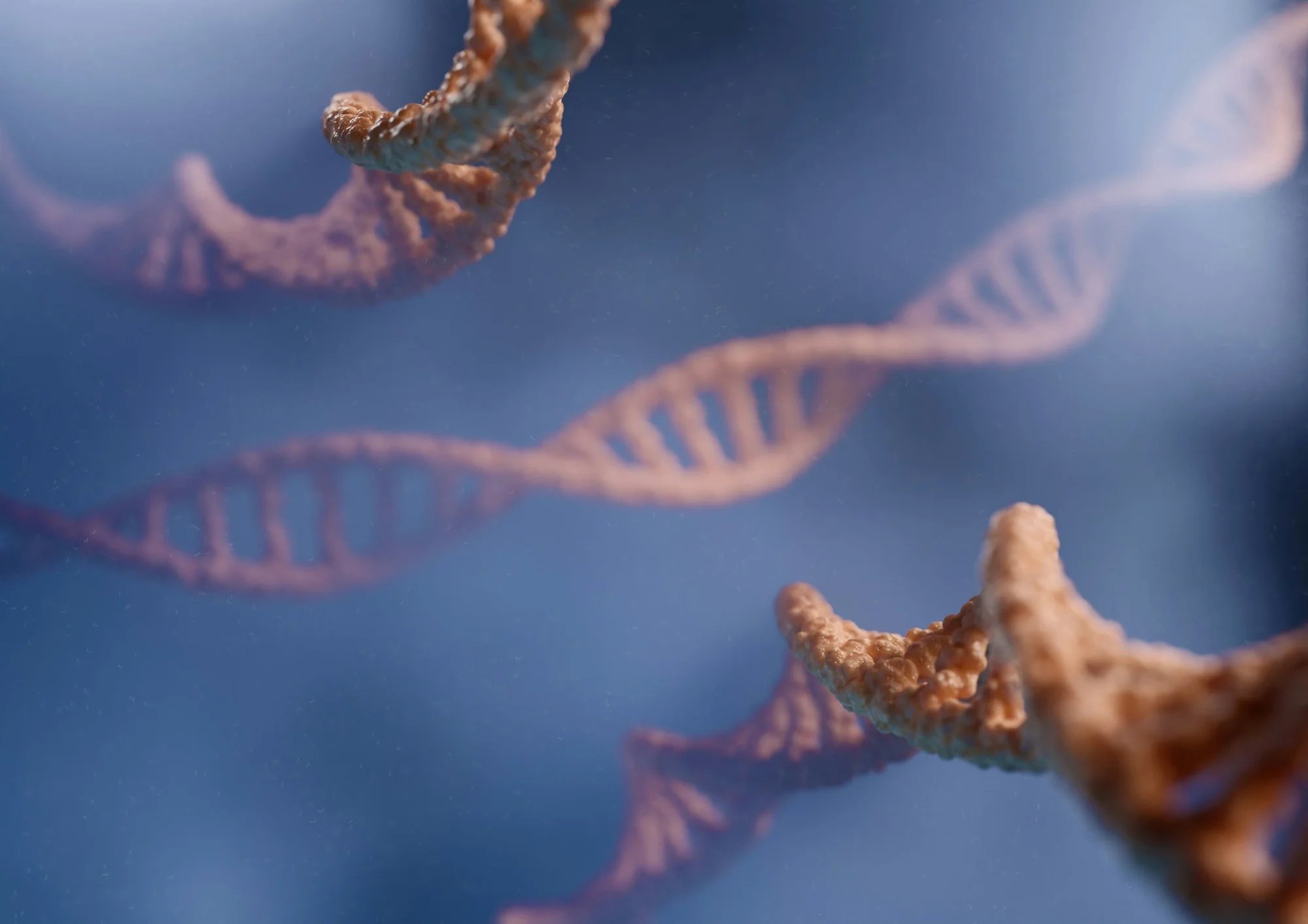 Northwestern chemists use flexible DNA to assemble proteins into atomically ordered crystals
