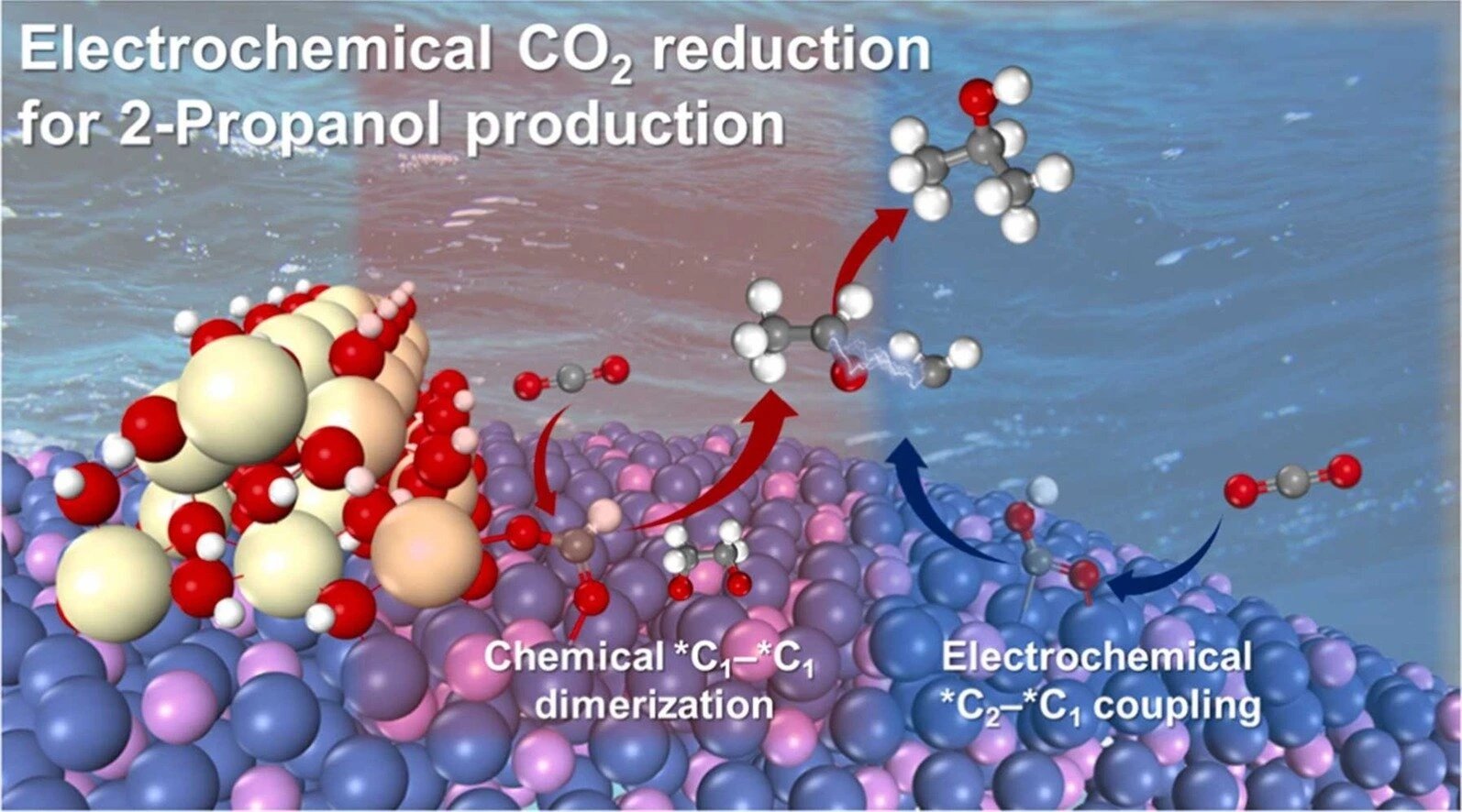SKKU researchers develop catalyst converting CO2 to 2-propanol at world-record efficiency
