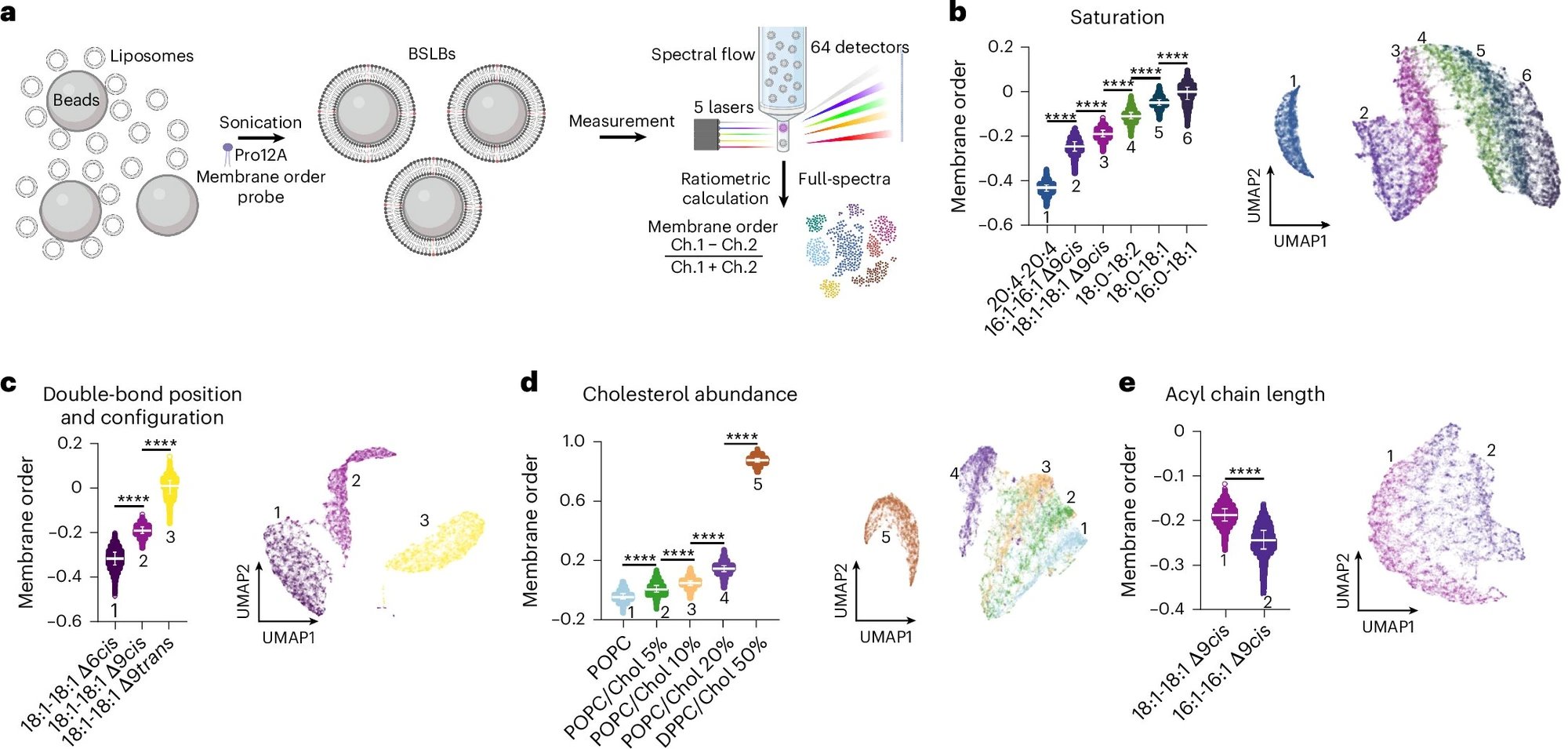 Karolinska researchers distinguish healthy and diseased immune cells with fluorescent nanosensors