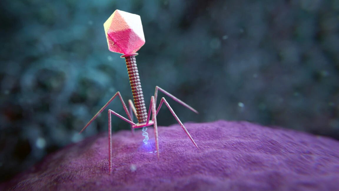 Stanford researchers use large genome models to design new viruses