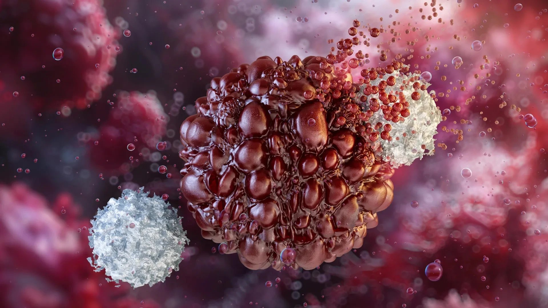 Nagoya University researchers find C3 protein produced in tumors boosts cancer immunotherapy