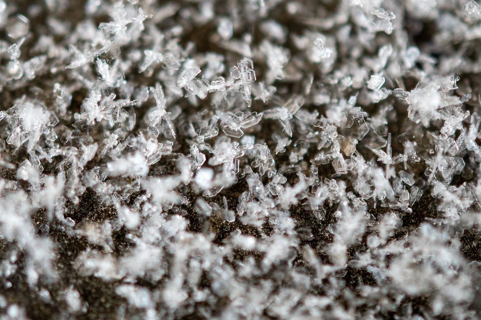 Murchison meteorite grain dated to 7 billion years, oldest solid material on Earth