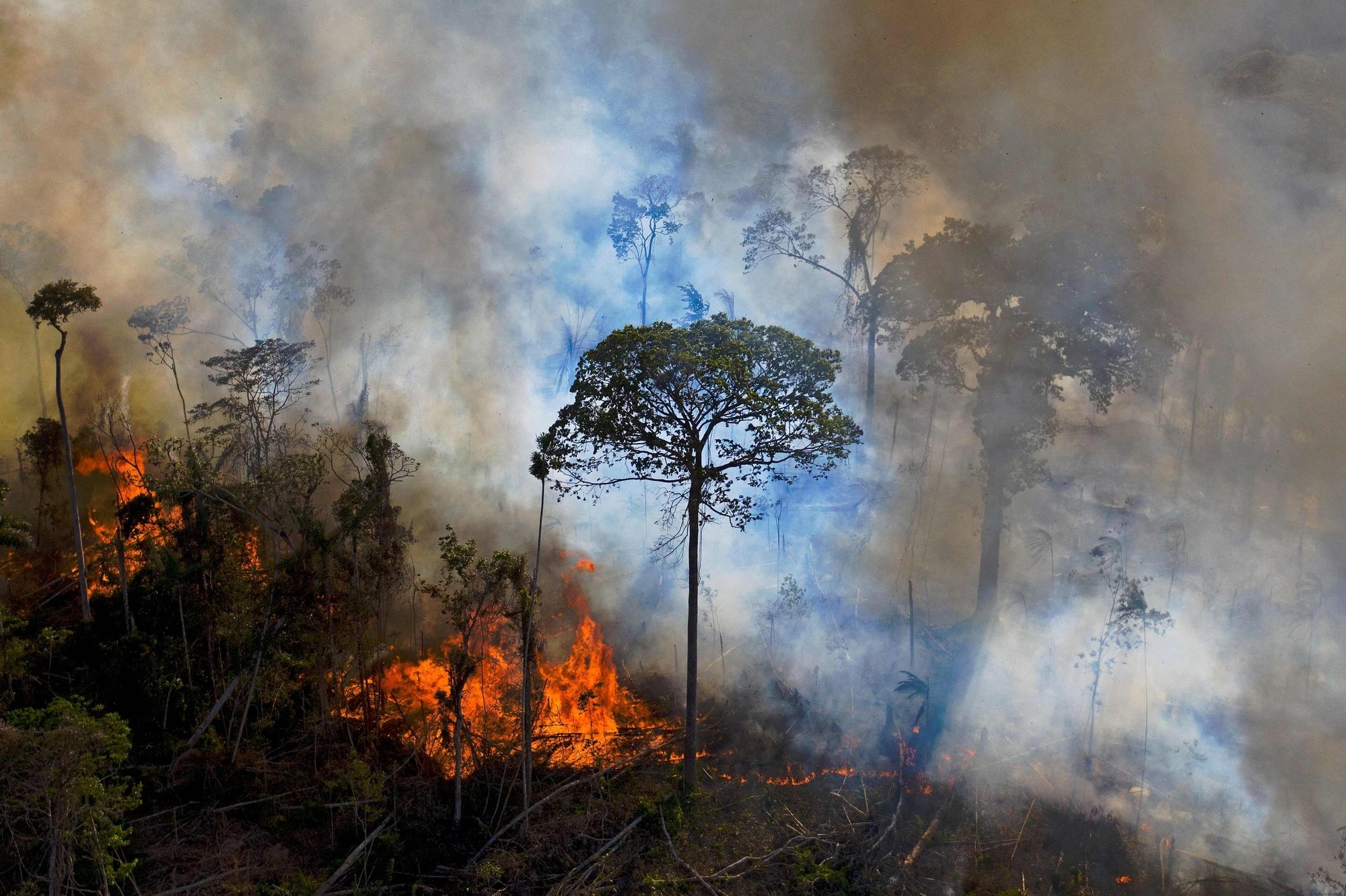 Researchers warn super El Niño could push Amazon past tipping point