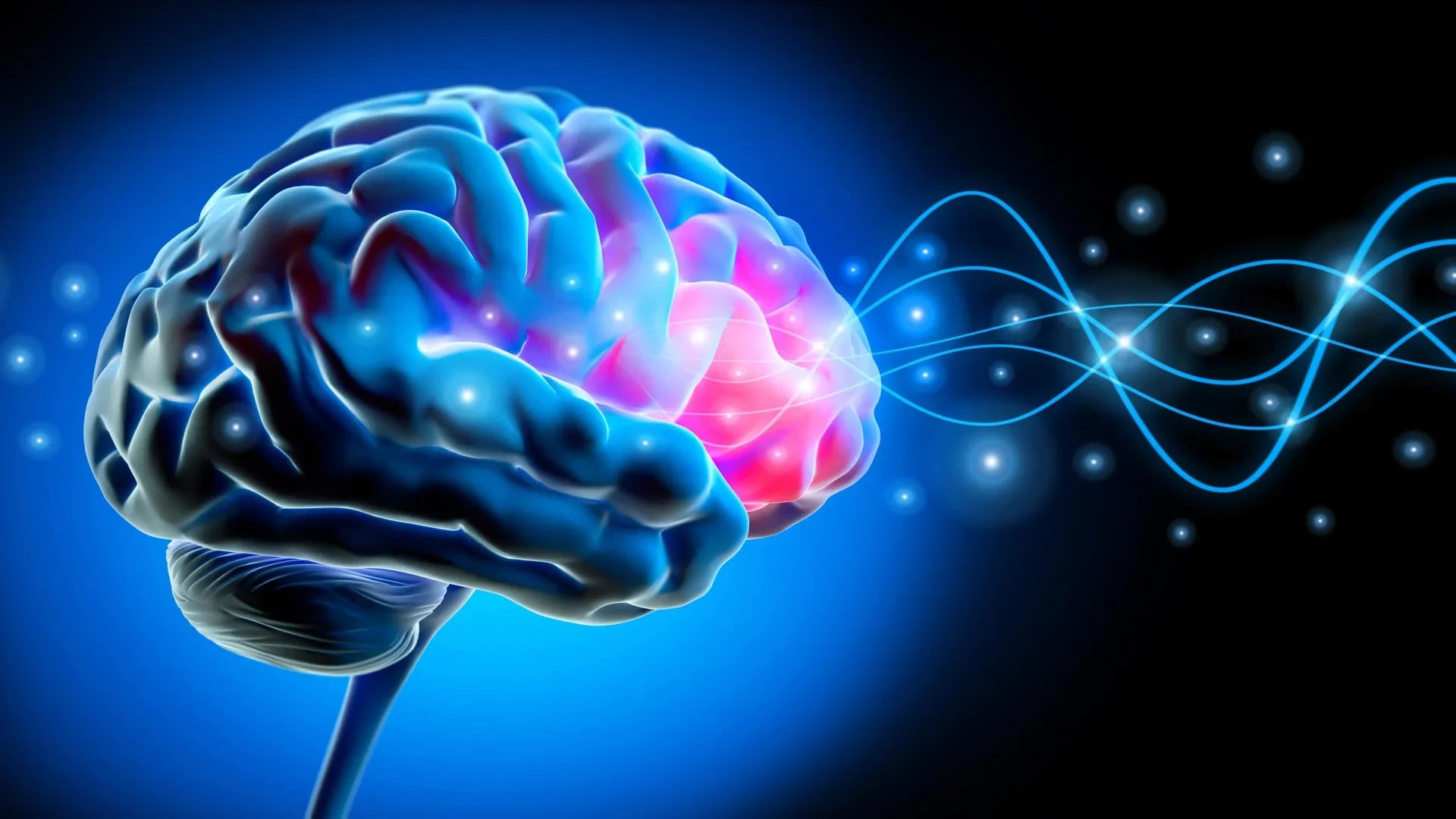 Scientists identify beta-rhythm brain network that drives Parkinson's deep brain stimulation response