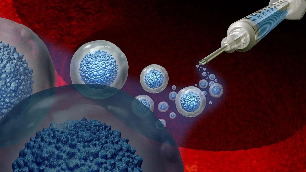Murdoch researchers produce human-like heart valve tissue from stem cells