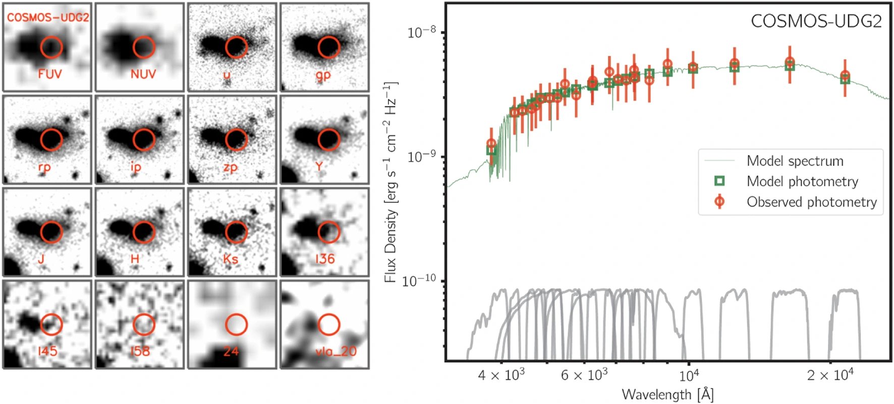Astronomers find evidence of first globular cluster stream beyond Milky Way in UGC 9050-Dw1