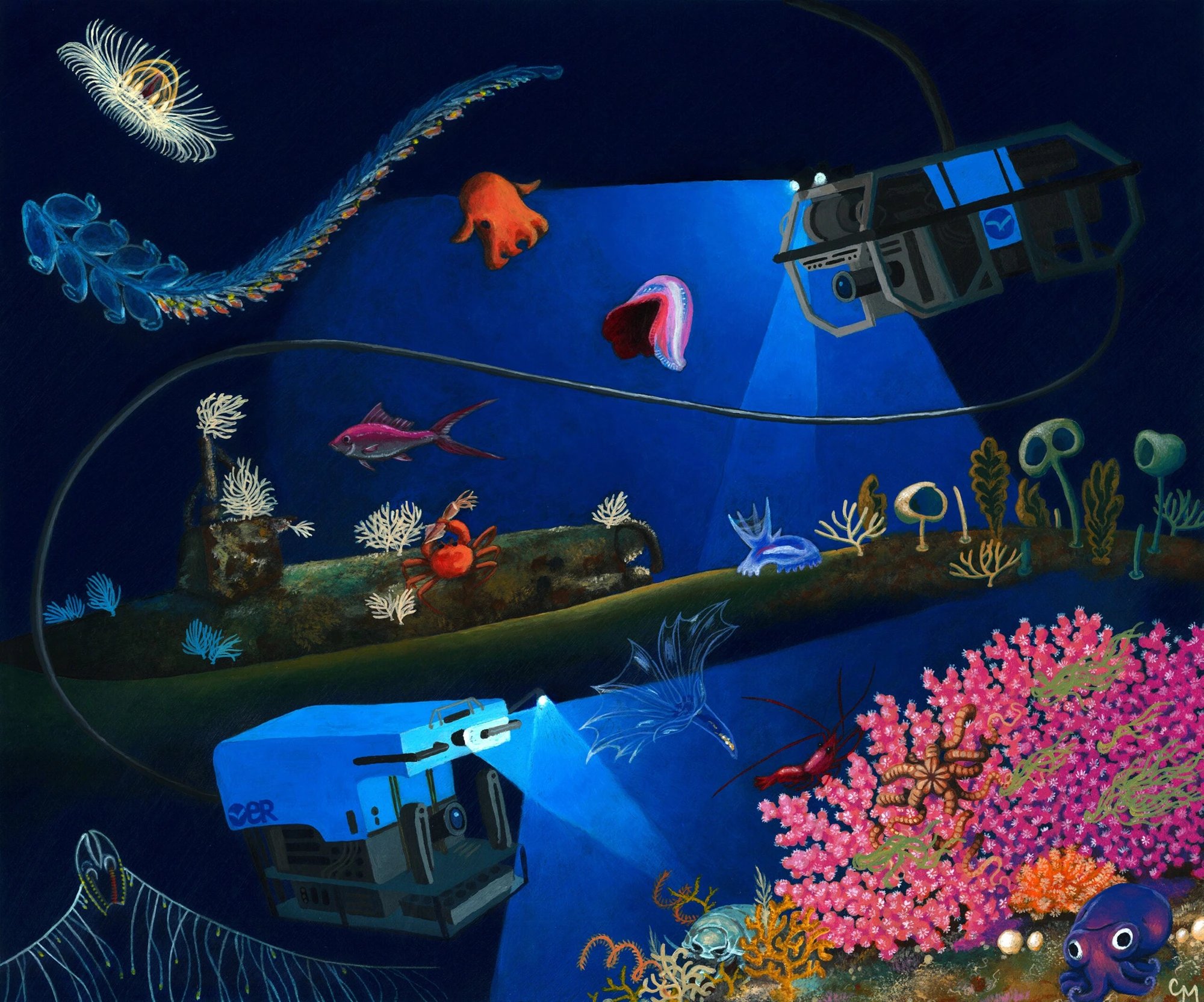 At current pace, deep-sea visual survey would take 100,000 years, Ocean Discovery League estimates