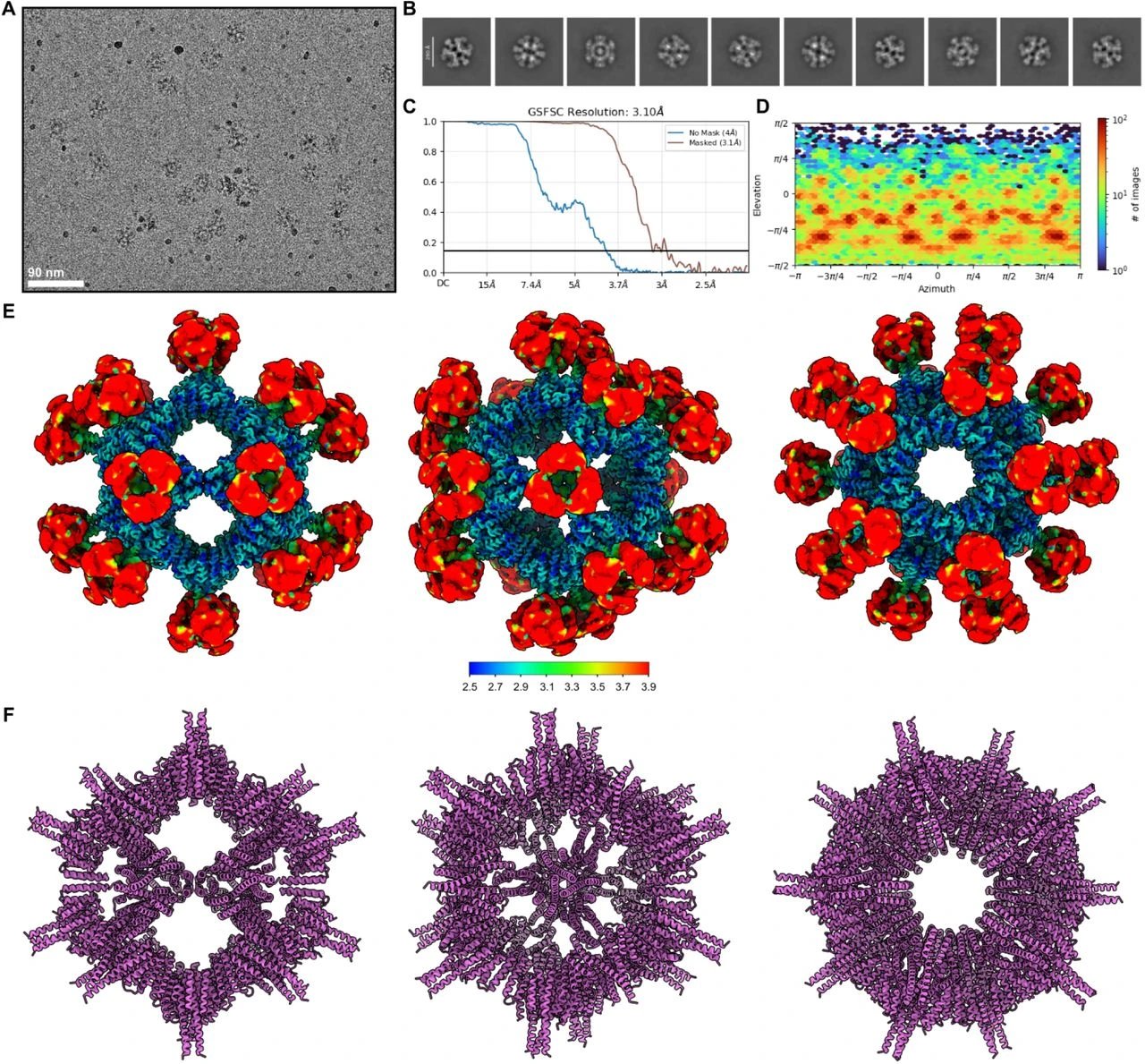 Nature Communications study maps nanoparticle segregation in growing calcite crystals