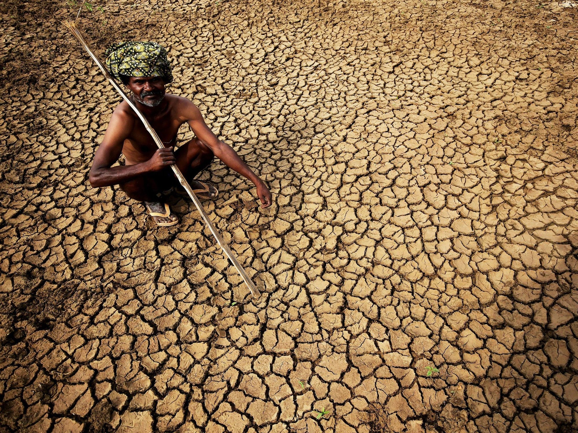 World Meteorological Organization says extreme heat more frequent, intense and longer-lasting