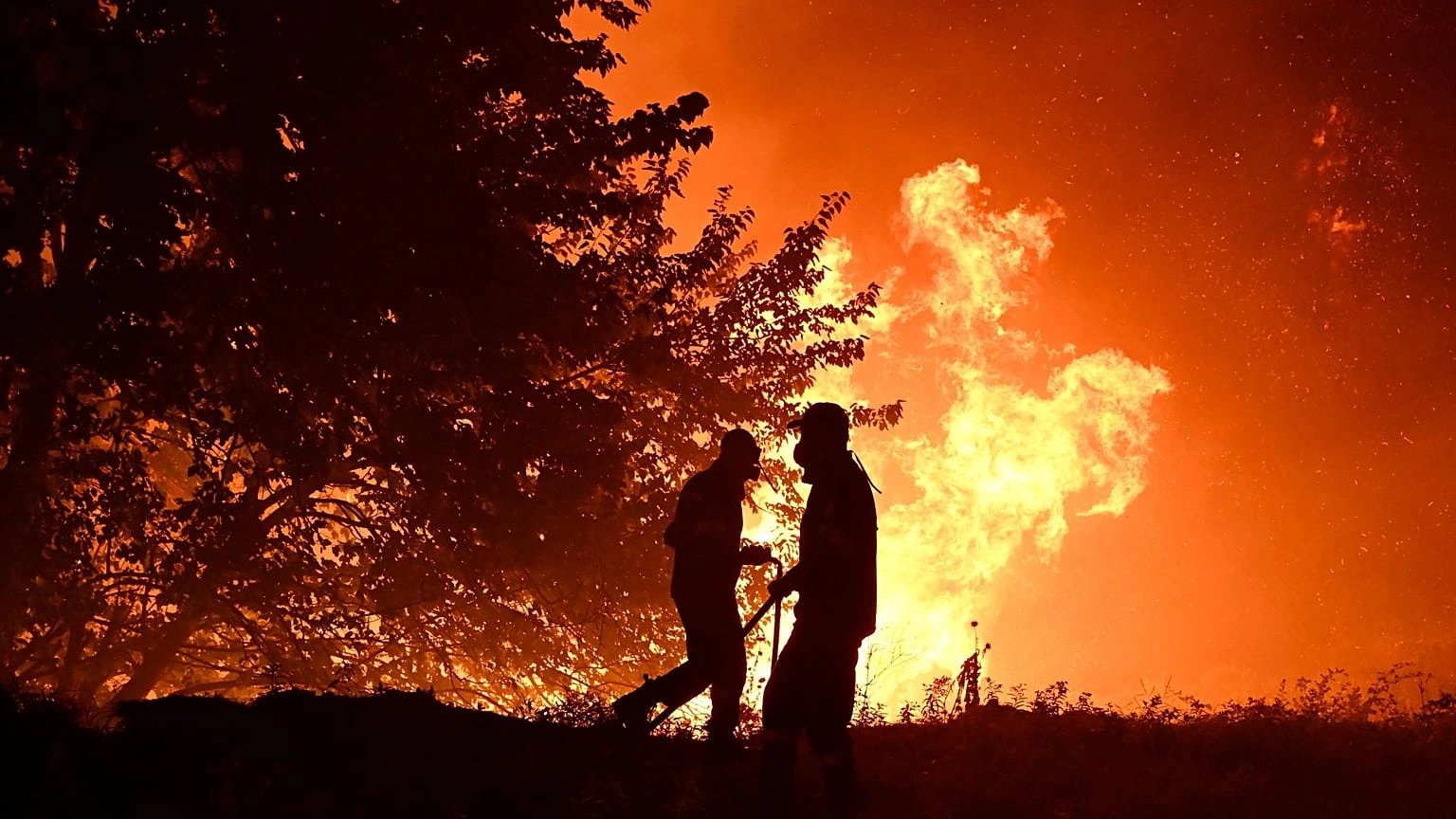 Forest fires in Greece and Spain kill three people