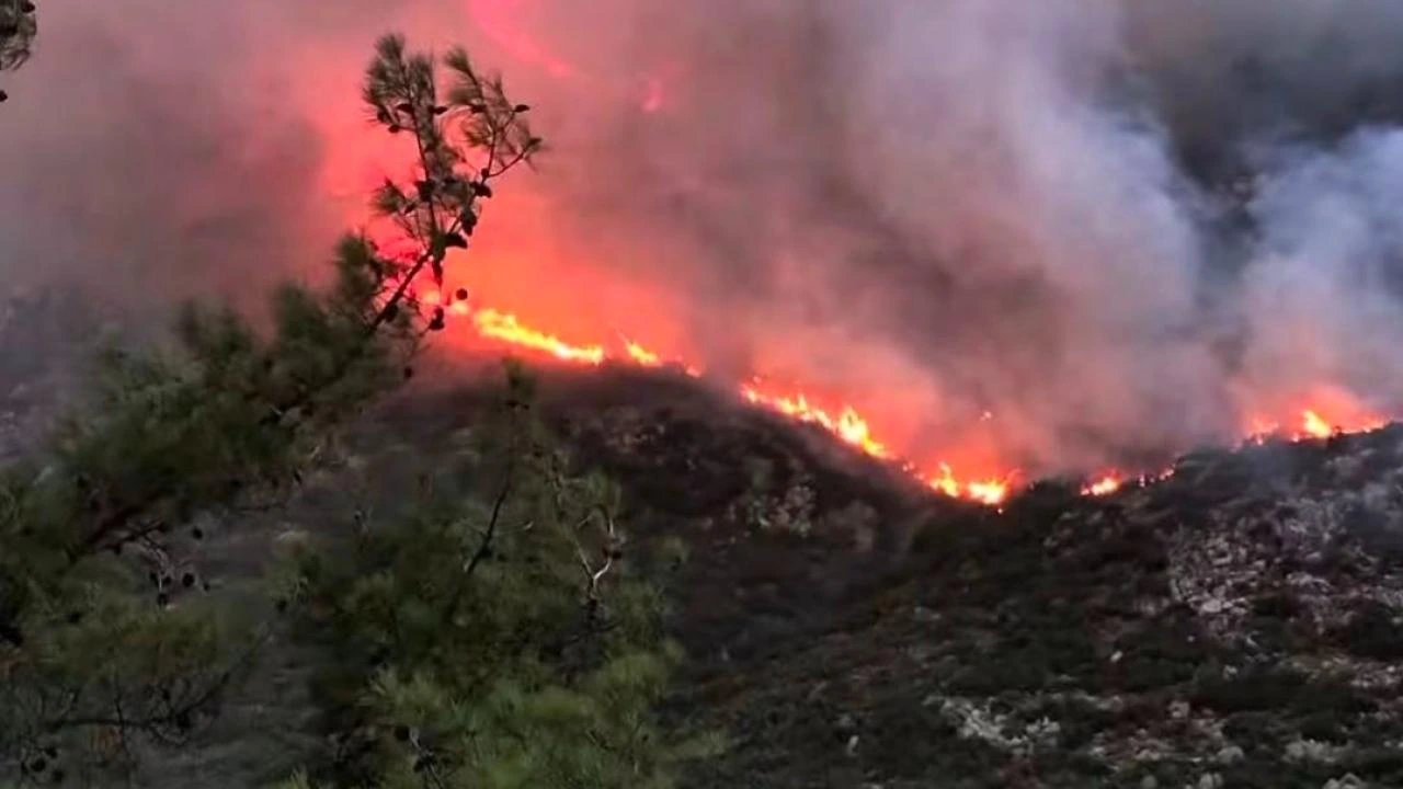 Extreme heat and drought fuel wildfires across 80 countries, scorching more than 370 million acres