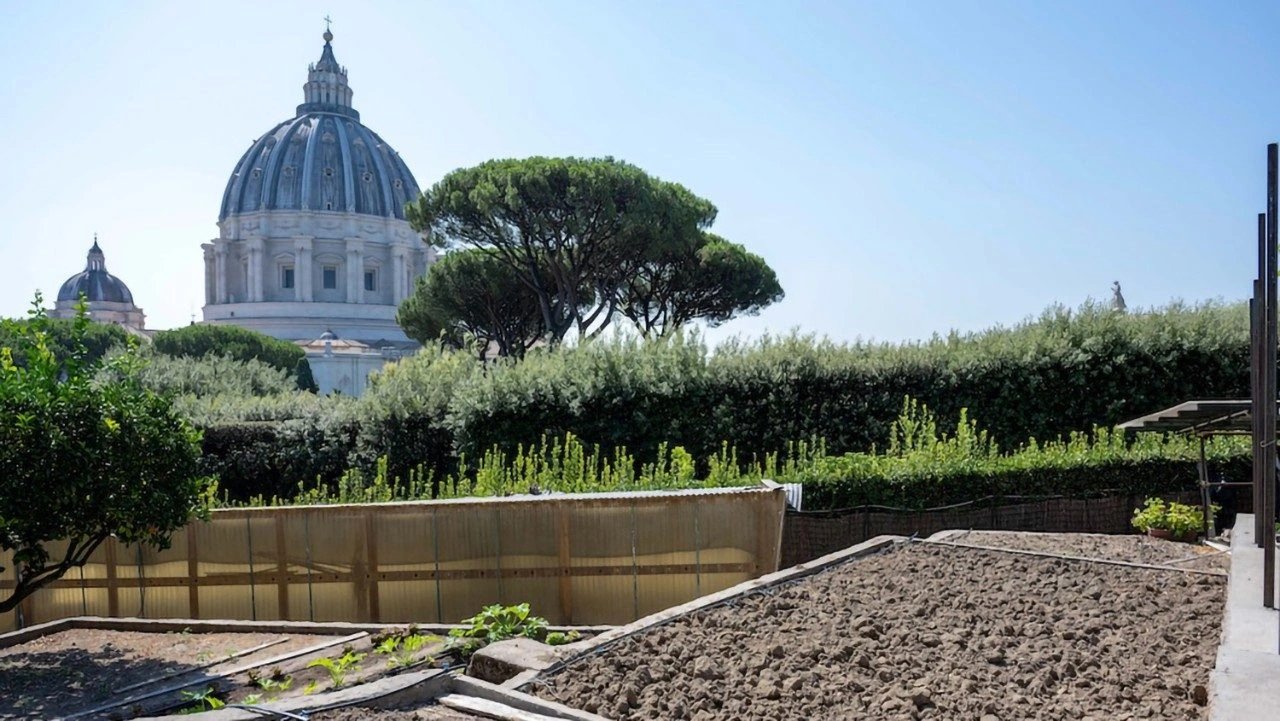 Vatican approves €100 million agrivoltaic plant to power Holy See