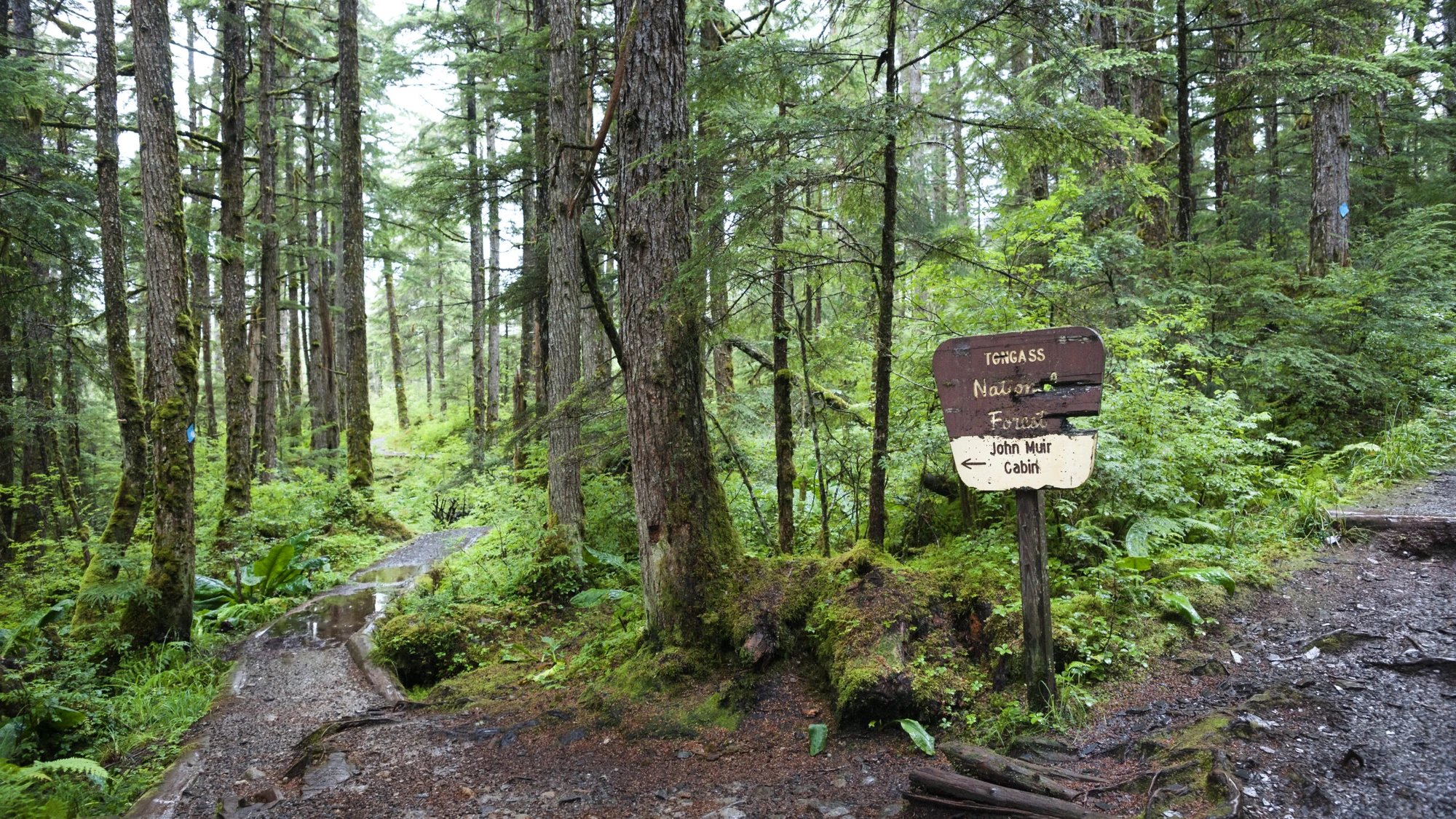 US Forest Service roadless rule rollback threatens wildlife habitat and water