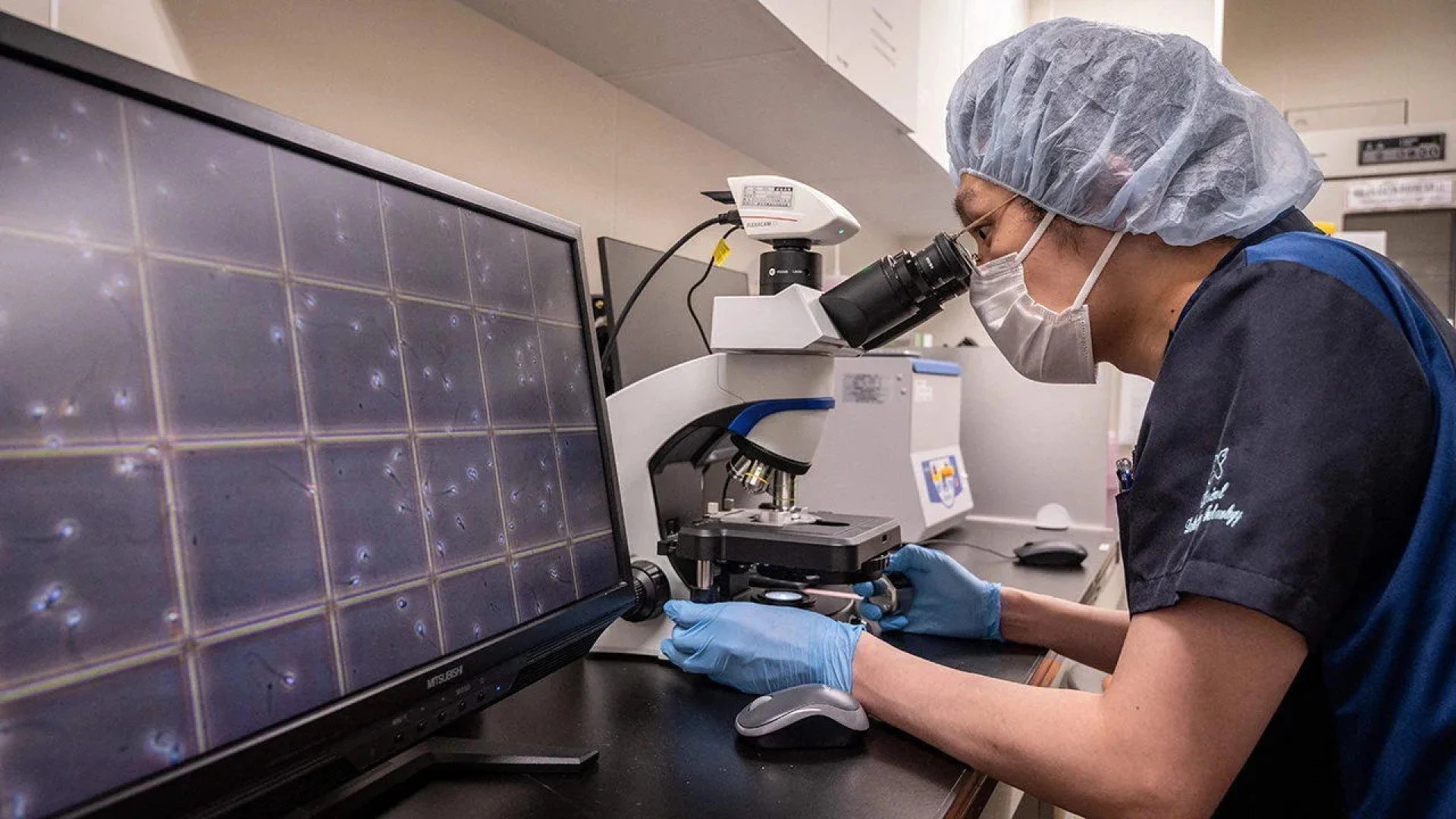 Osaka University scientists find rare immune cells elevated in centenarians
