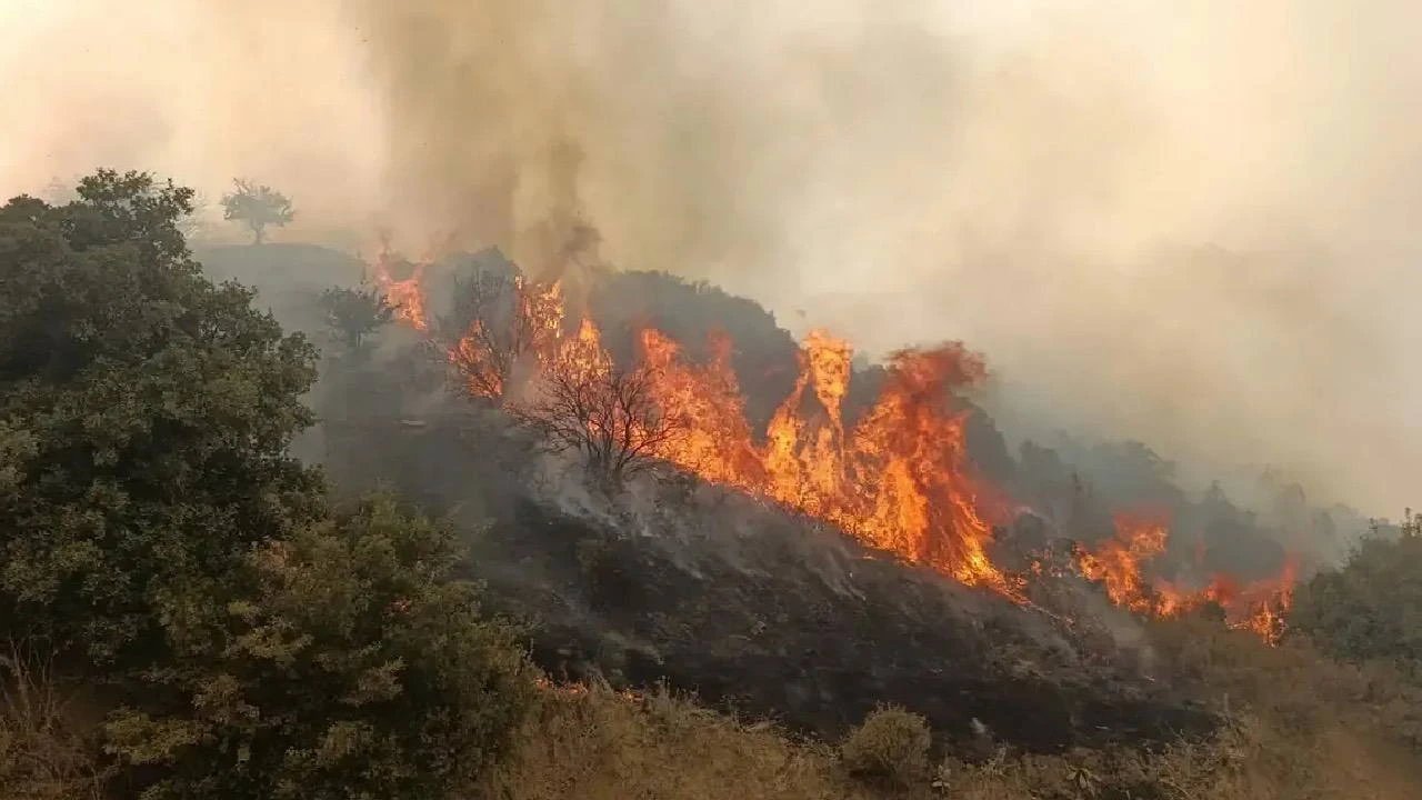Turkey detains 12 suspects over 73 forest fires since June 1