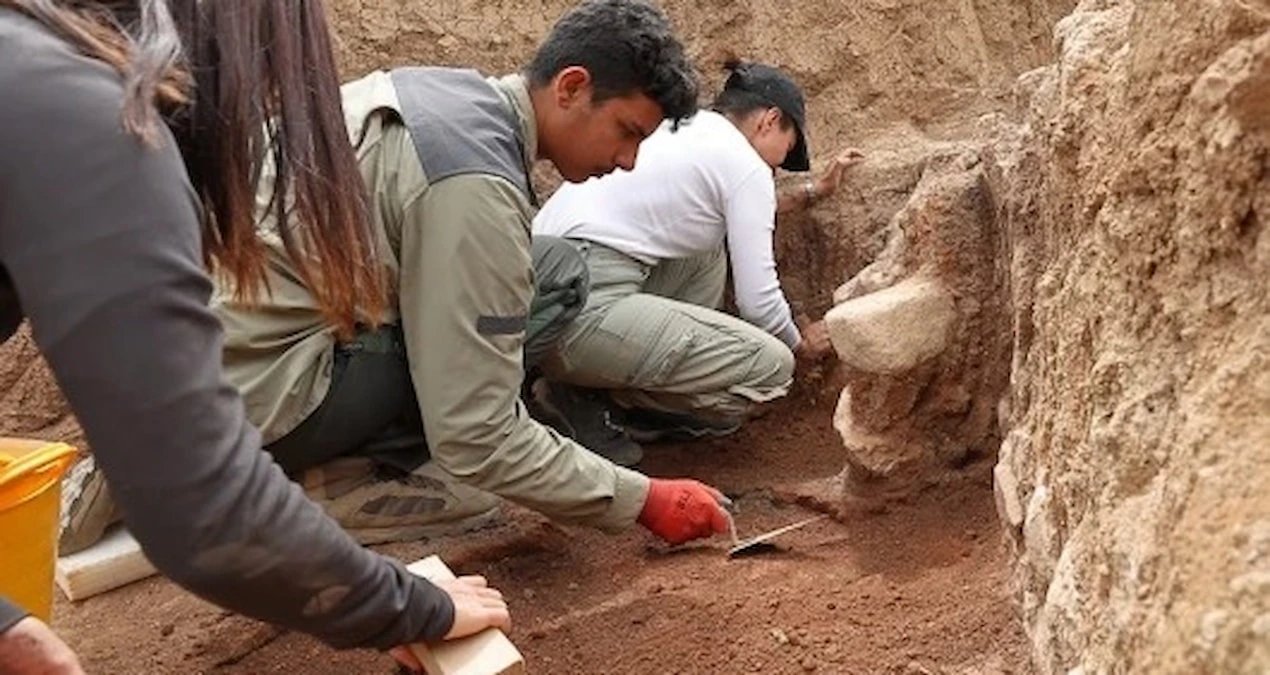 Hittite ritual remains found in L-shaped rooms at Şapinuva