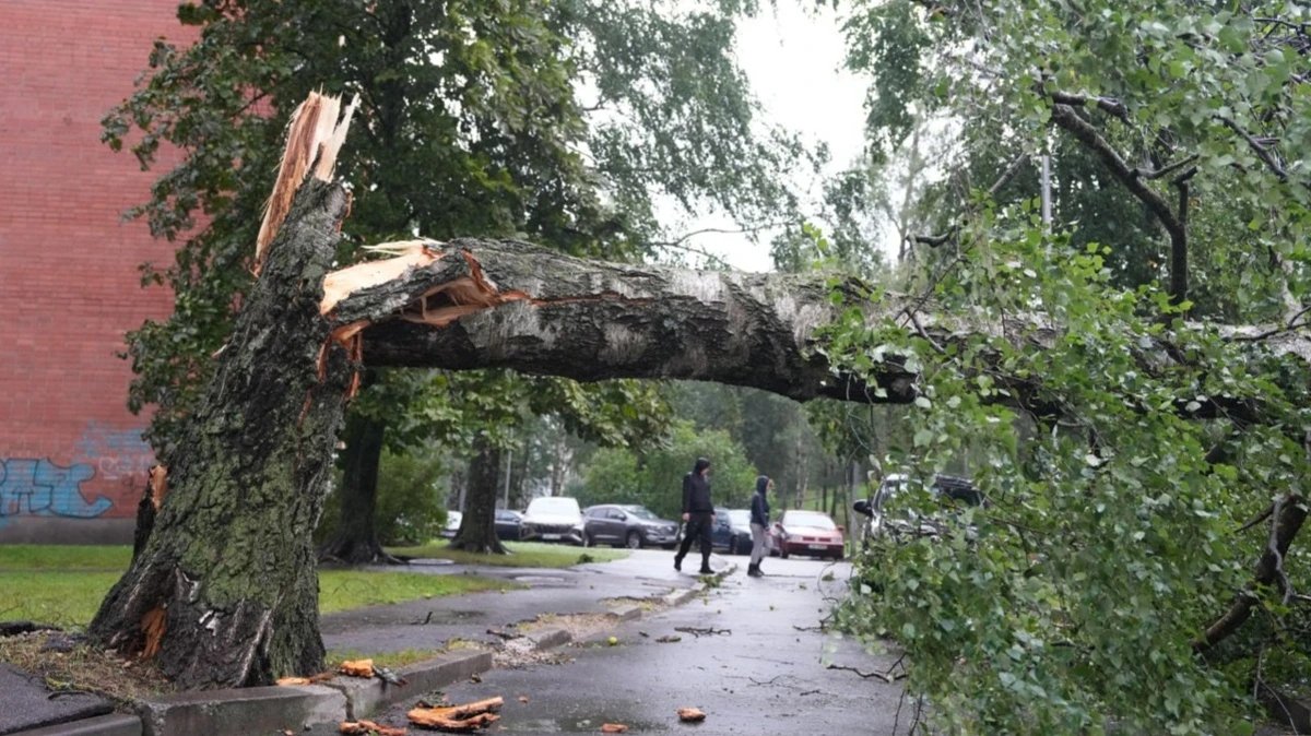 Storm Prisca kills two, cuts power to 550,000 homes across Baltics