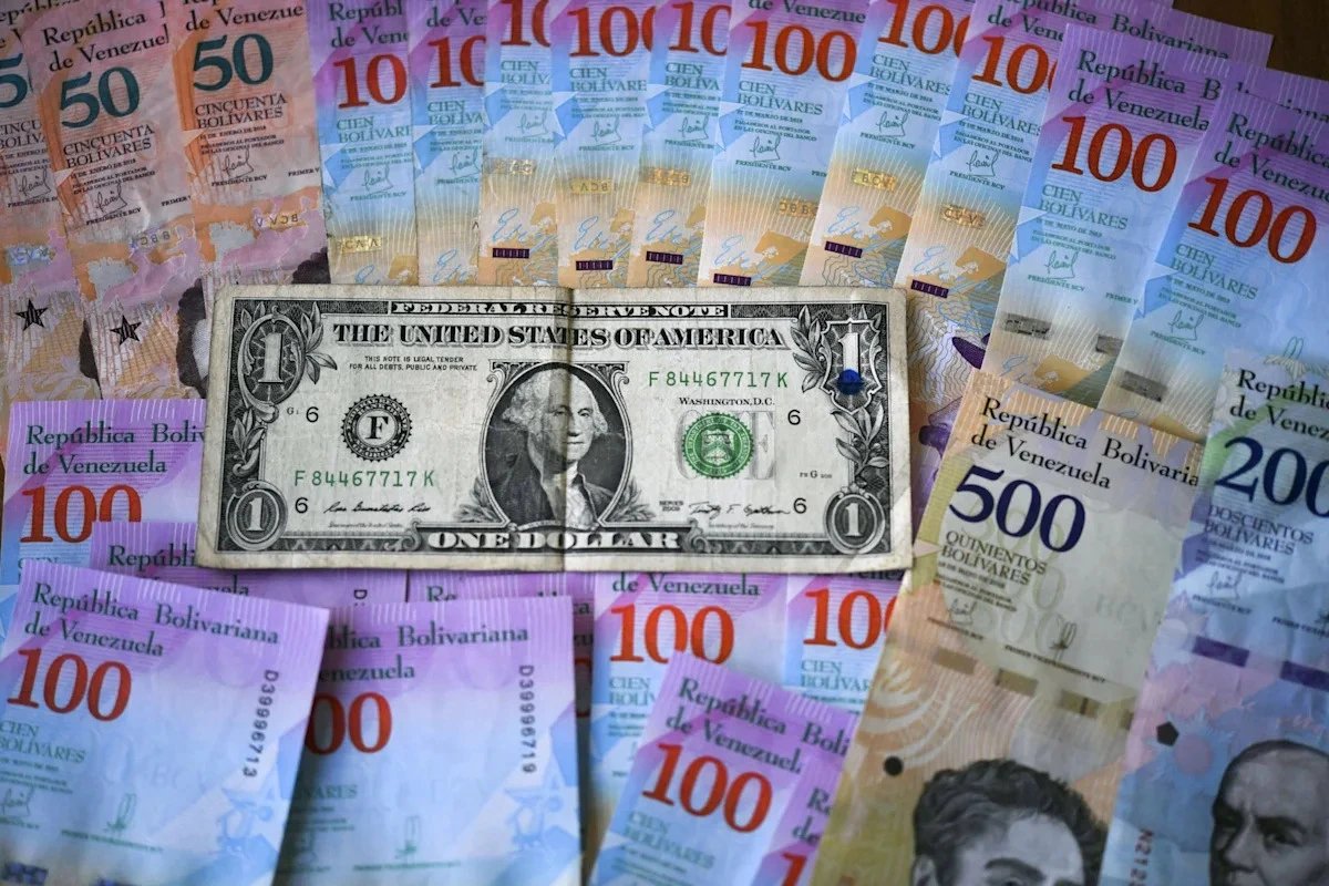 Hanke sees 50%-80% odds Venezuela adopts U.S. dollar, abandoning bolivar
