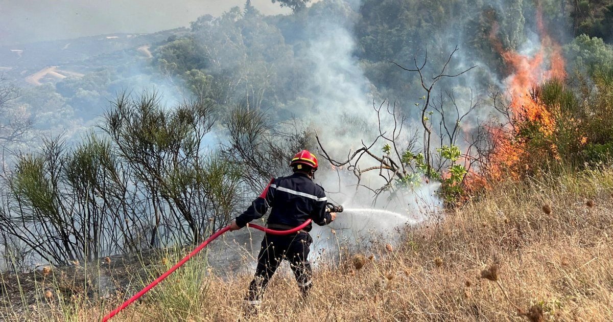 Algeria wildfires kill 12, injure 54 as heatwave fuels 154 blazes