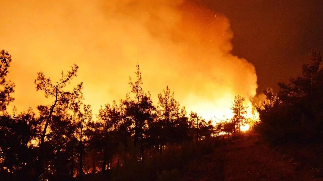 Europe wildfires burn 600,000 hectares in 2026, Spain worst hit