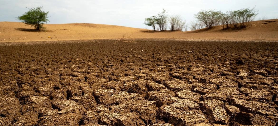 UN says land restoration needs $355 billion a year, $278 billion gap