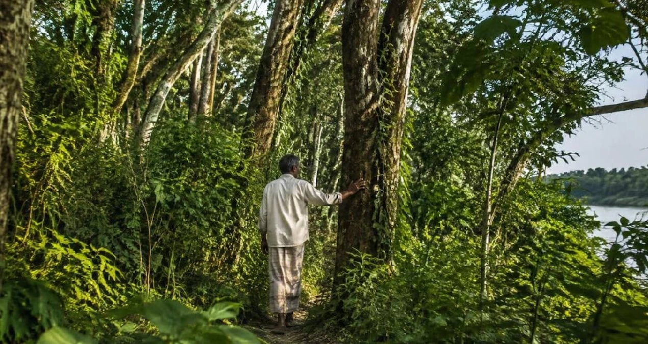 Jadav Payeng planted forest on Brahmaputra sandbar for 47 years