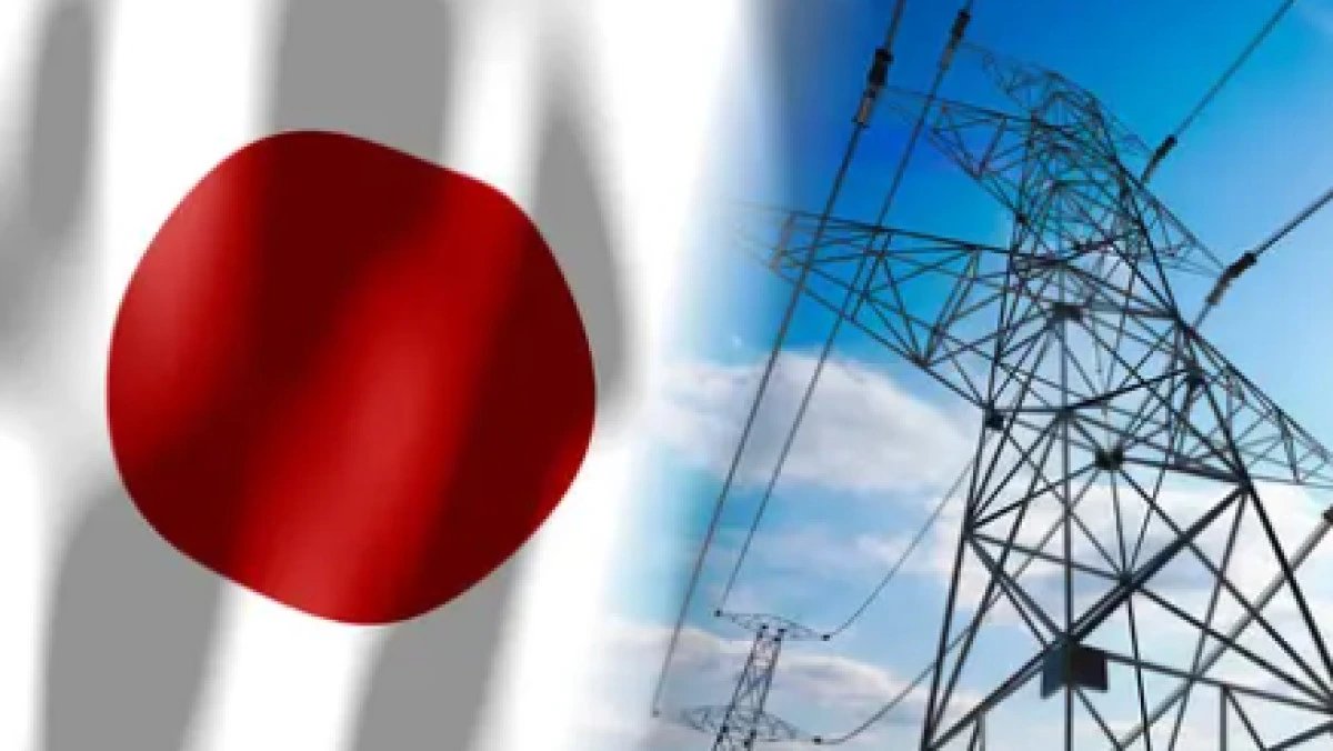 Japan households cut power use to health-threatening levels as energy poverty hits 10%