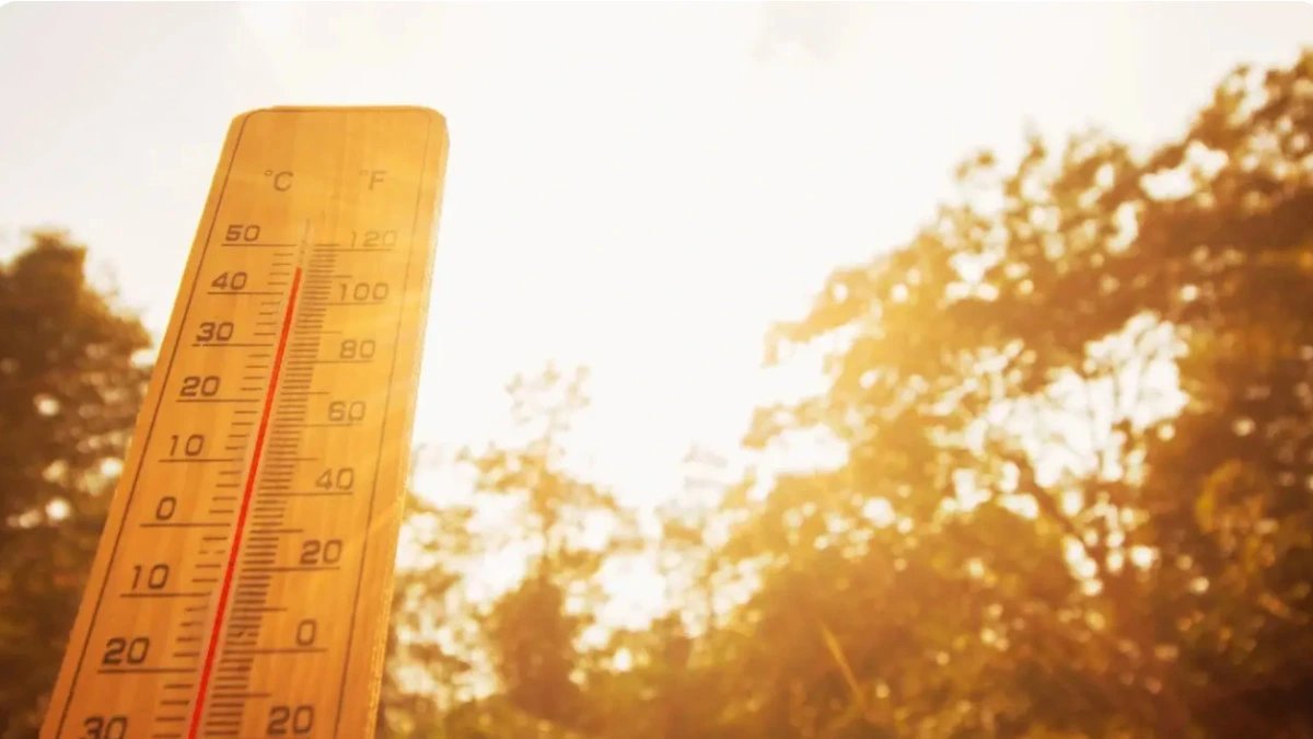UK records hottest summer since 1884 with average 16.5C