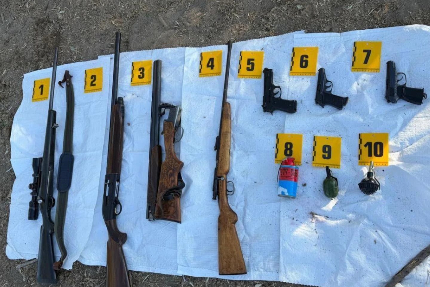 Kazakhstan seizes 56 weapons and 314 rounds in 12 regions