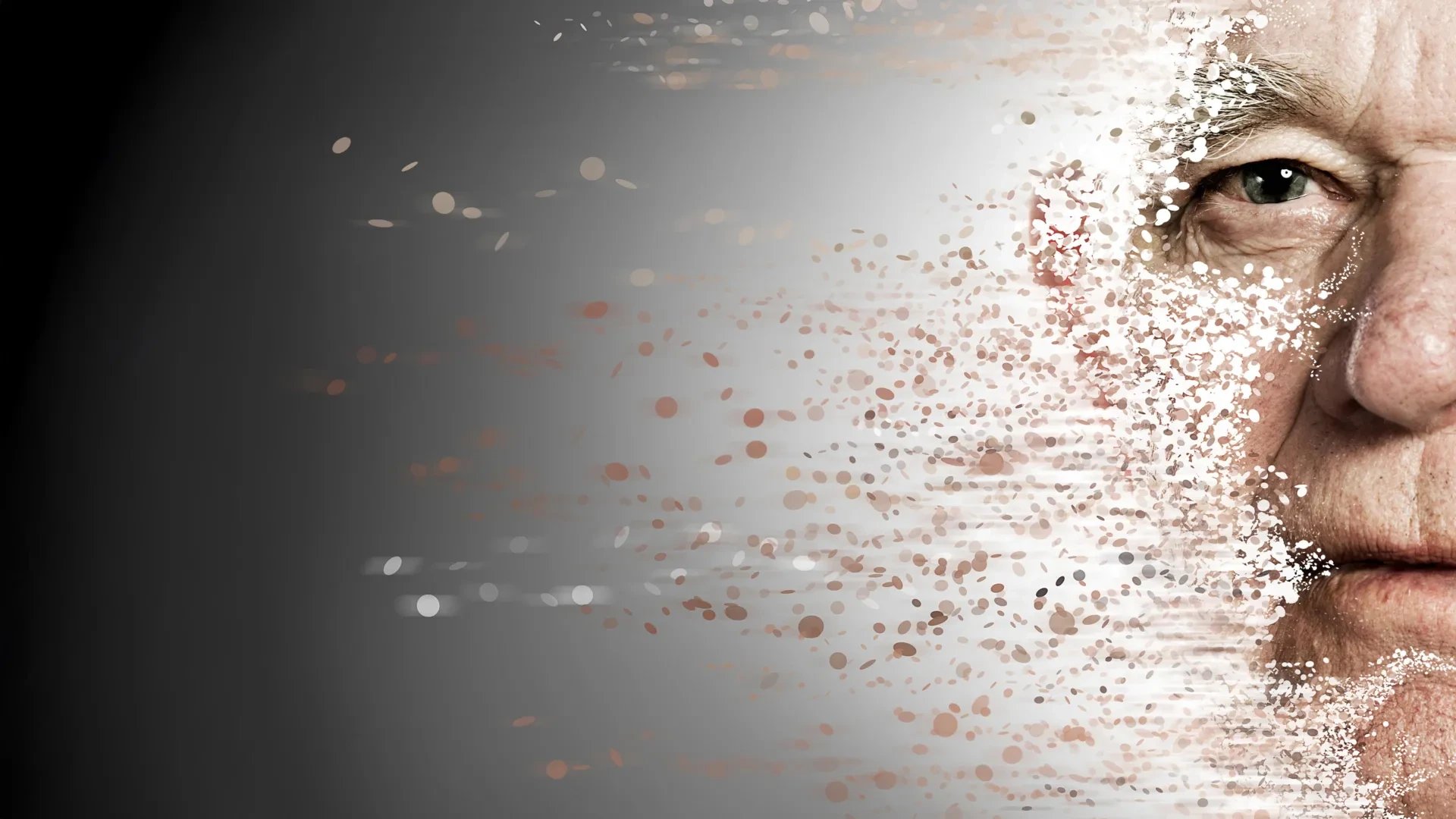 Stanford study links macrophage failure to aging across organs