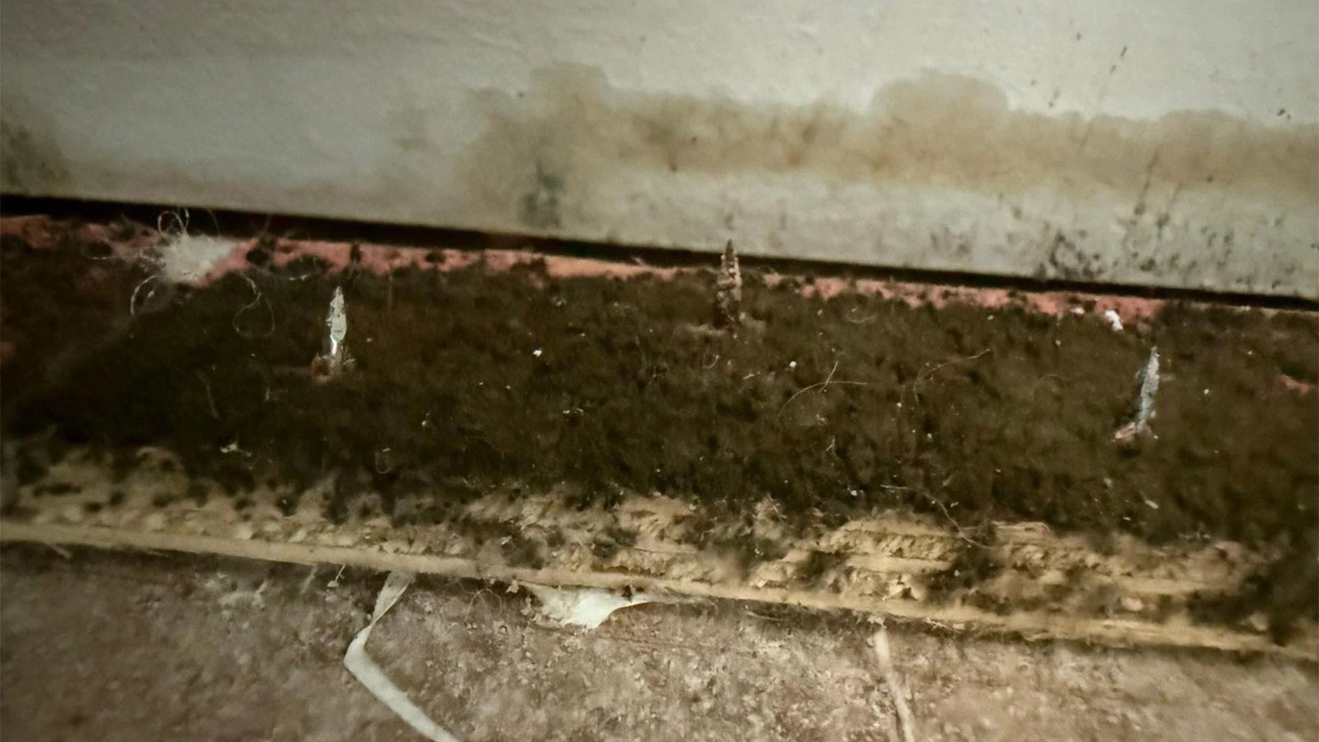 UK new-build complaints triple as families report defects, damp and mould