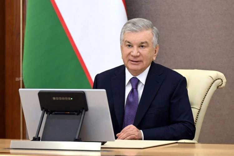 Мирзиёев медицина және фармацевтика кадрларын даярлау реформасын бекітті