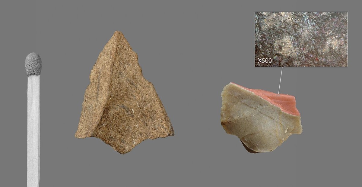 80,000-year-old arrowheads found in Uzbekistan rewrite early human history