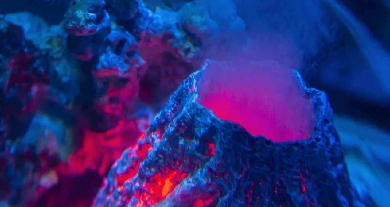 Researchers find active hydrothermal vents on Pacific seamount serving as skate nursery