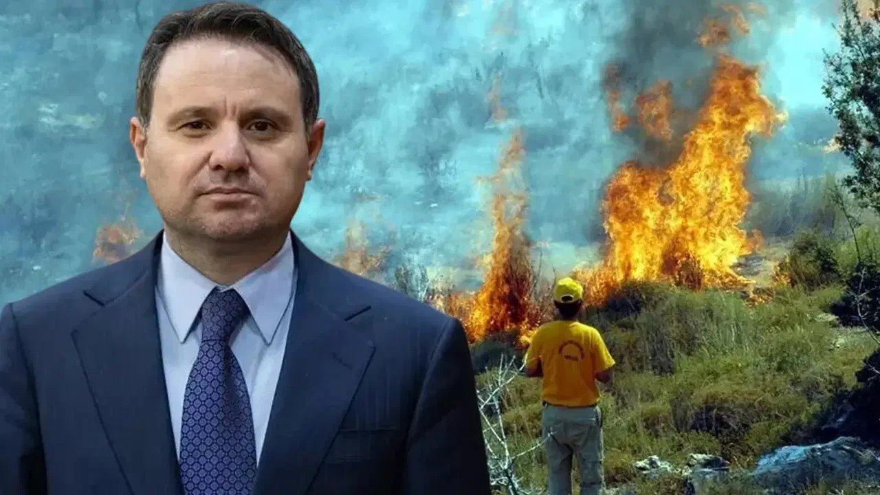 Turkey identifies 70 suspects in 103 forest fires since June 1, 16 jailed
