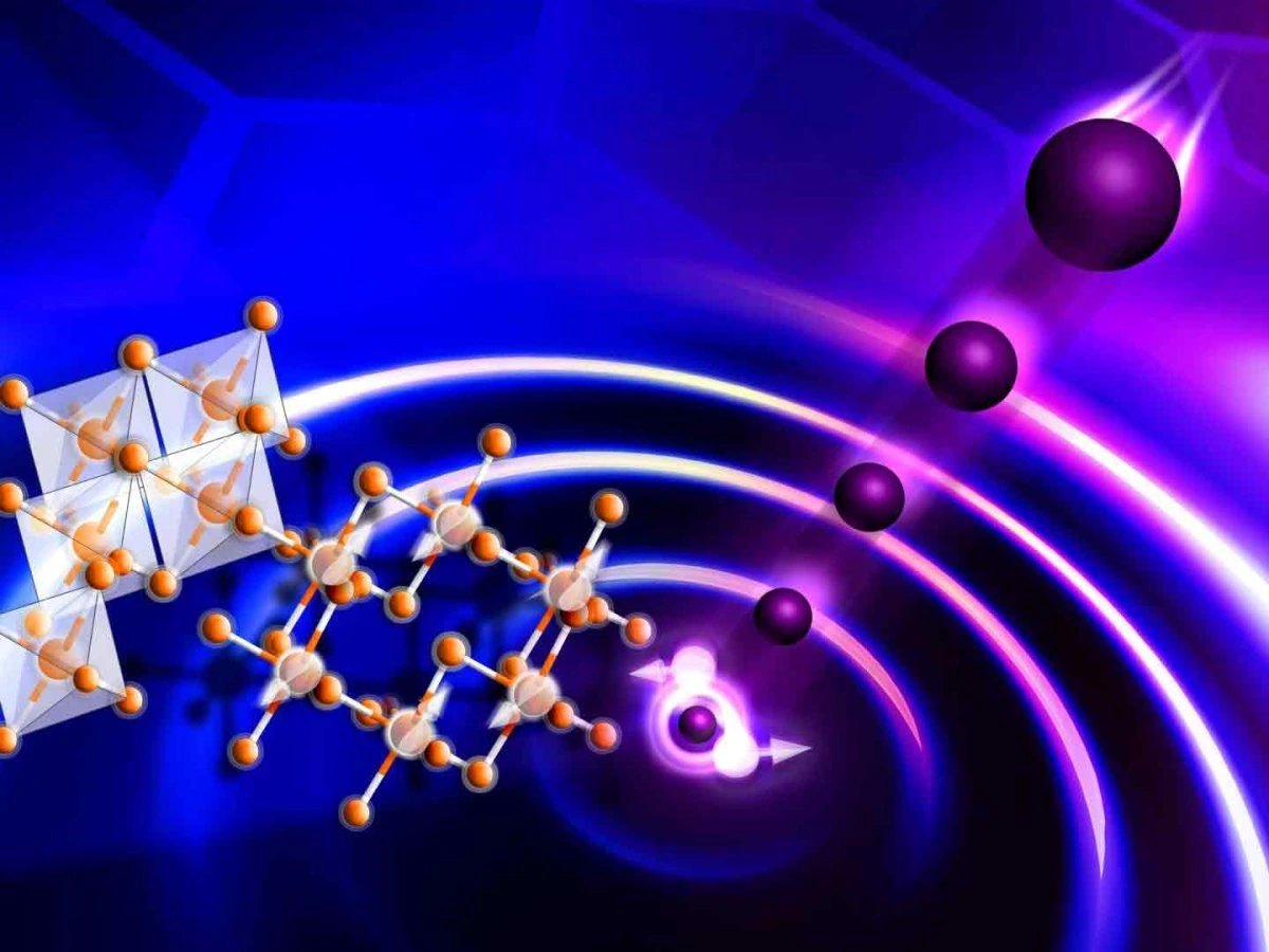 HZB researchers simulate fractons in realistic quantum spin liquid model
