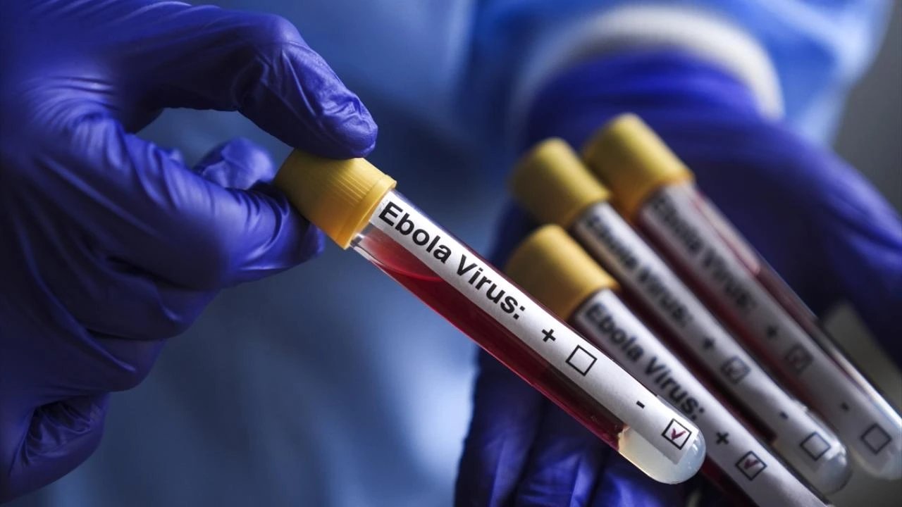 DRC Ebola death toll rises to 3,095 as confirmed cases reach 6,436