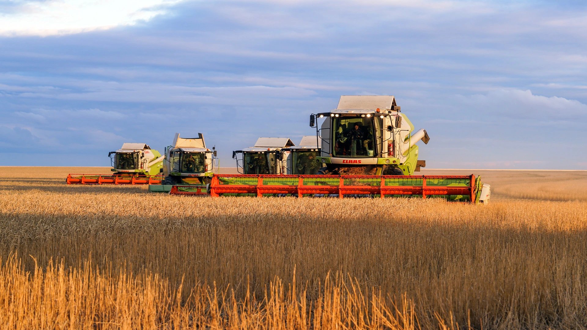Kazakhstan harvests 13.5 mln tonnes of grain from 61.6% of area